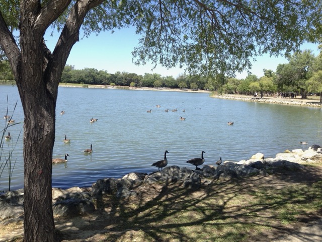 The Cost of Safe, Clean Water 