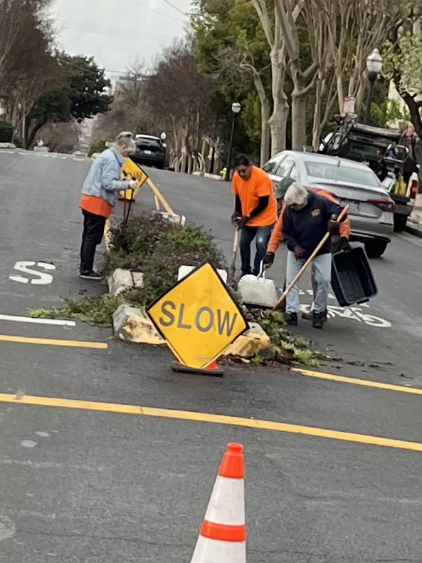 Beautifying Naglee Park
