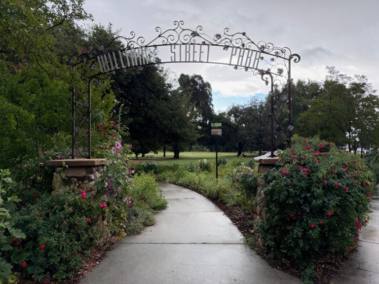 Springtime in Naglee Park