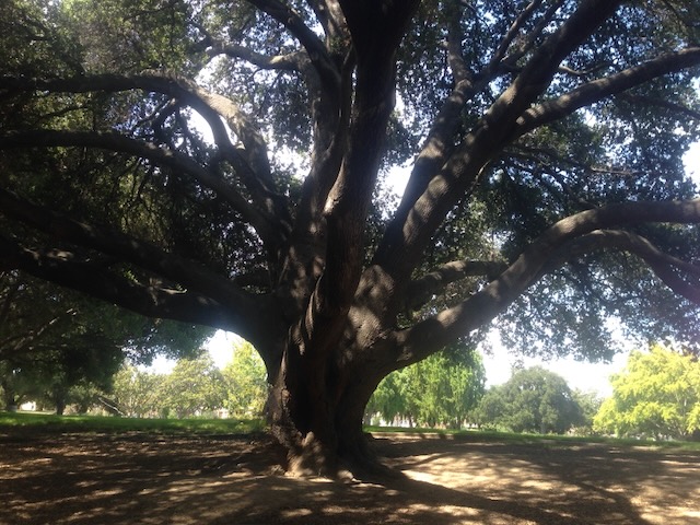 Homelessness, Addiction, and Public Space